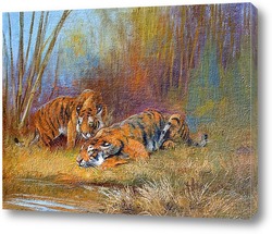   Постер Тигры у водопоя