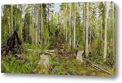   Картина Сосновый лес