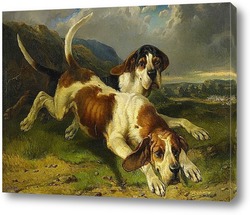   Картина Собаки и пейзаж