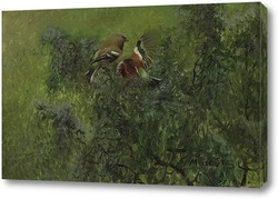   Картина Бофинкар в зелени