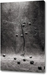   Постер Ореховое дерево