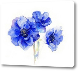   Постер Синие цветы Анемоны