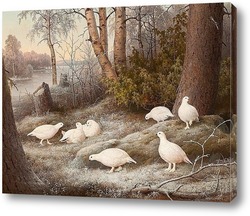   Картина Стая рябчиков на реке