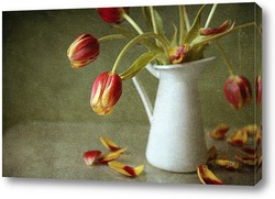   Постер Теряют лепестки тюльпаны