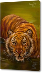   Постер Тигр в воде