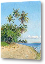    Гавайский пляж с пальмами, 1932