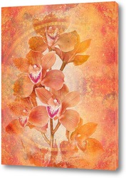   Постер Прекрасная Орхидея
