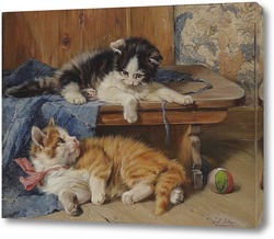   Постер Два играющих котенка