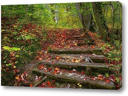   Постер лестница в осеннем лесу