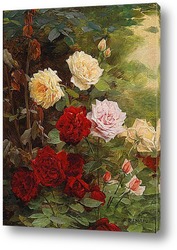  Корзина с цветущими розами