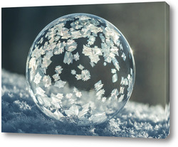   Постер Замёрзший мыльный пузырь на снегу