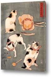   Постер Четыре кошки в разных позах