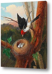   Картина Птица у гнезда