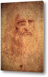   Постер Leonardo da Vinci-12