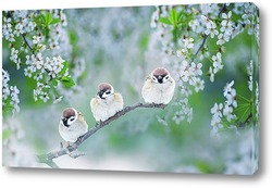   Постер птицы в майском саду