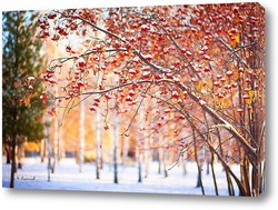   Постер Деревья рябины на фоне первого снега.