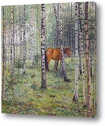   Постер Конь в берёзовом лесу