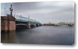  Троицкий мост(Питер)