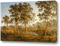   Постер Туземцы на реке Уз.Тасмания