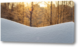   Постер Сугроб снега на фоне леса