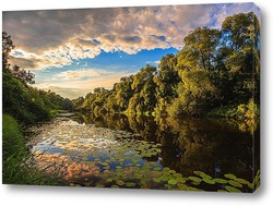   Постер Красивый летний вид на реку при вечернем заходящем солнце