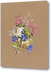   Постер Альпийские цветы