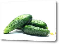   Постер Fresh cucumbers isolated on white