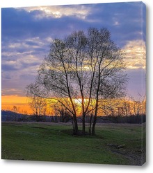   Постер Весенний рассвет