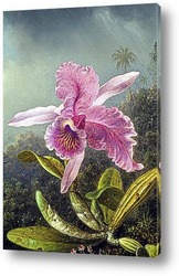   Картина Орхидея (часть картины)