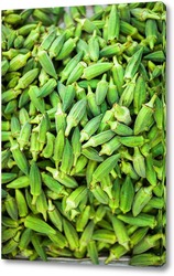   Постер Зеленые ростки перца