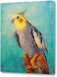   Постер Попугай корелла