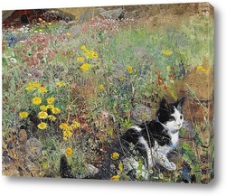   Постер Кошка на цветочном лугу