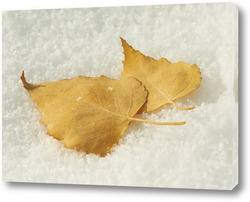   Постер Берёзовые листья на снегу