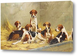   Картина Собаки в питомнике