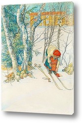   Постер Лыжница 