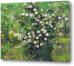   Картина Розы, 1889