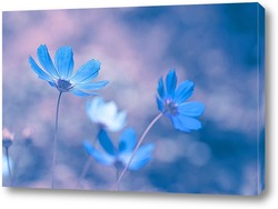    Голубые цветы на нежном фоне