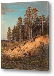   Постер Рядом с лесом
