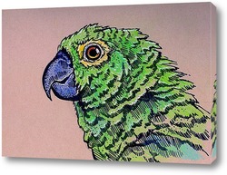   Постер Зеленый попугай