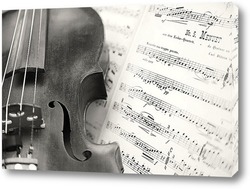   Постер скрипка со струнами