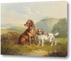   Картина Две собаки
