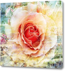   Постер Бутон розы
