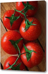   Постер Свежие помидоры