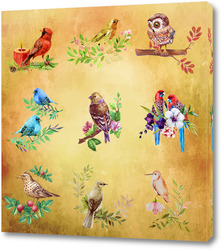   Постер Экзотические птички