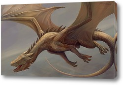   Постер Полет дракона