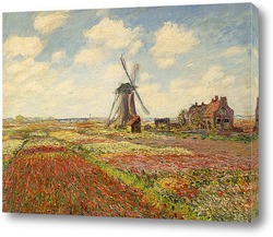  Картина Поле тюльпанов в Голландии
