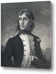  Наполеон (11)