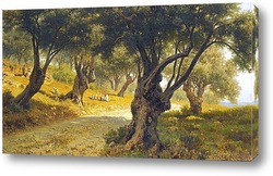   Картина Оливковая роща.Палермо
