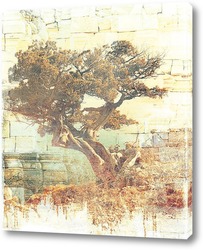   Постер Дерево на склоне