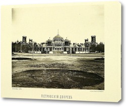    Петровский путевой дворец,1883 год